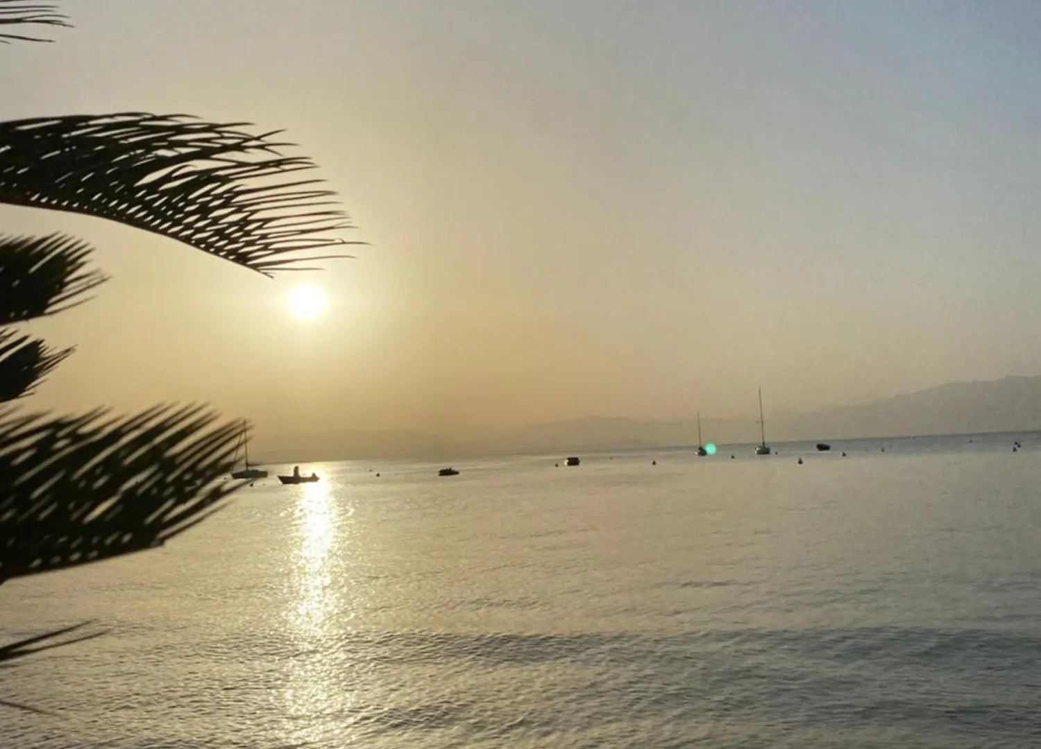 Apt Gardasee Lazise Cola
