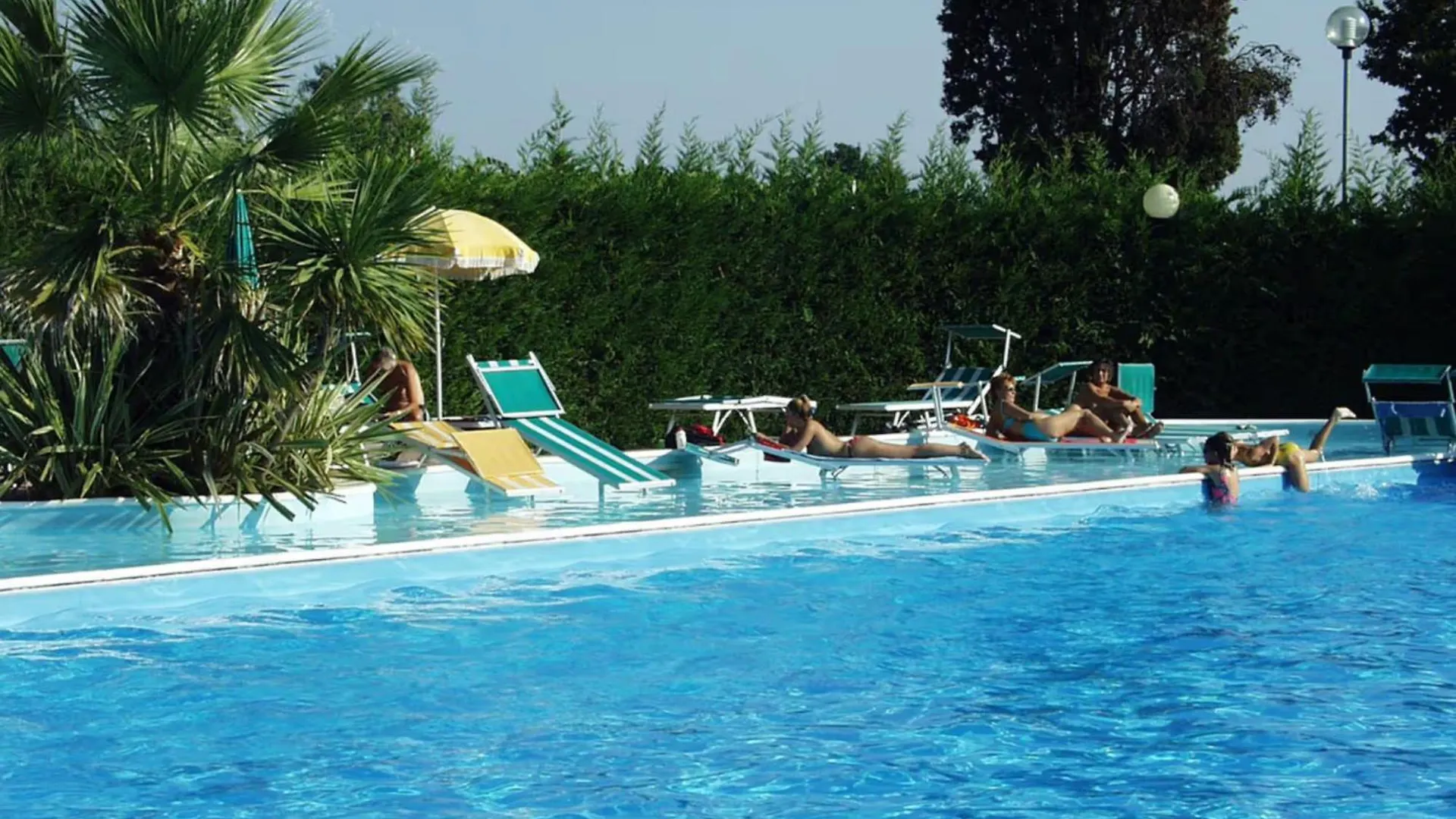 Apt Gardasee Lazise Cola contacts