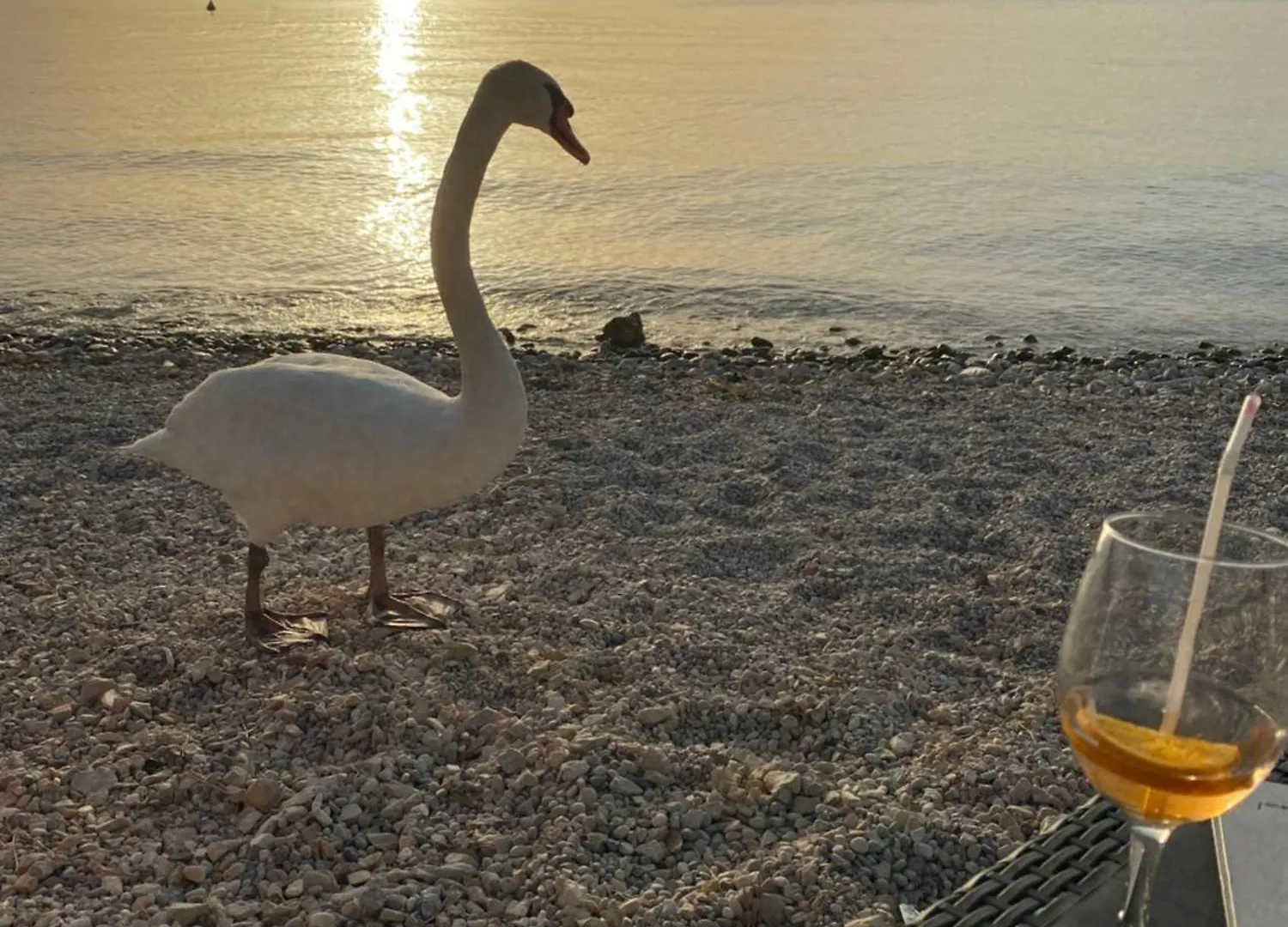Apt Gardasee Lazise Cola Italy